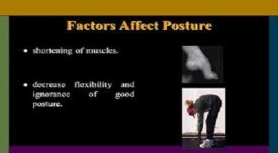 Factors which affect the posture