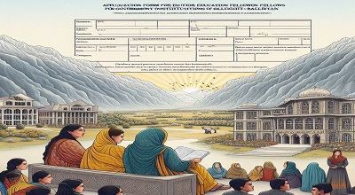 Application Form for Education Fellows for Govt of Gilgit-Baltistan